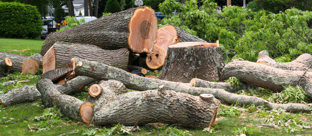 Gardnertown, NY Tree Services Company